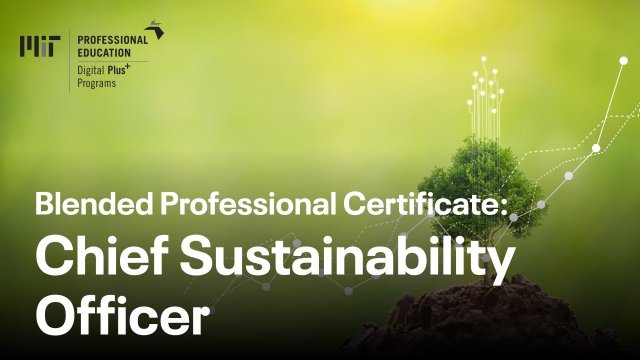 Blended Professional Certificate: Chief Sustainability Officer (Course Overview)